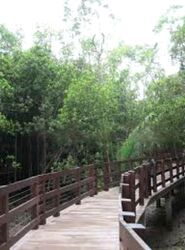 Avila Gardens (D17), Condominium #488407941